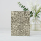 マコン ポストカード (スタンド正面)