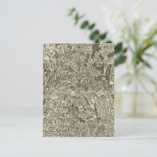 マコン ポストカード (スタンド正面)