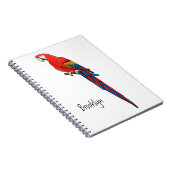 マコーオウムイラストレーション ノートブック (右側)