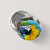 マコーオウム鳥カラフル動物ポートレート 缶バッジ (正面&裏面)