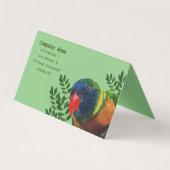 マコーカラフルパロットグリーン離れシーズレッドビーク 名刺 (裏面)