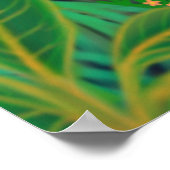 マコージャングルのポスター ポスター (角)