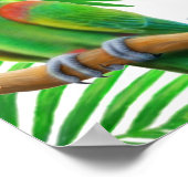 マコージャングルのポスター ポスター (角)