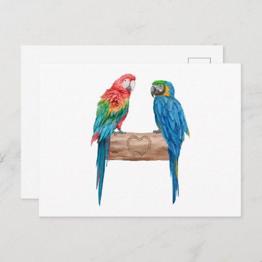 マコーバードオウム恋人の水色 インビテーションポストカード (正面/裏面)
