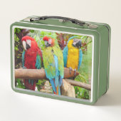 マコーパロカラフルッツの群れ メタルランチボックス (裏面)