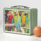 マコーパロカラフルッツの群れ メタルランチボックス (インサイチュ)