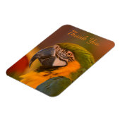 マコーパロットサンキュー マグネット (左側)