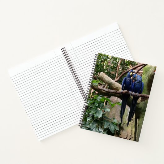 マコーパロットスパイラルノート ノートブック (内部)