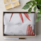 マコーパロットユーカリプトゥスウォーターカラー 薄葉紙 (ギフト)