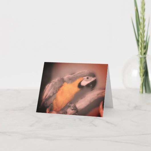 マコーパロット白黒部分カラーノートカード サンキューカード (正面)