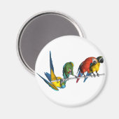 マコーパロット マグネット (正面/裏面)