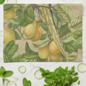 マコーブルーイエロートロピカルジャングルアンティーク キッチンタオル (折り畳み)