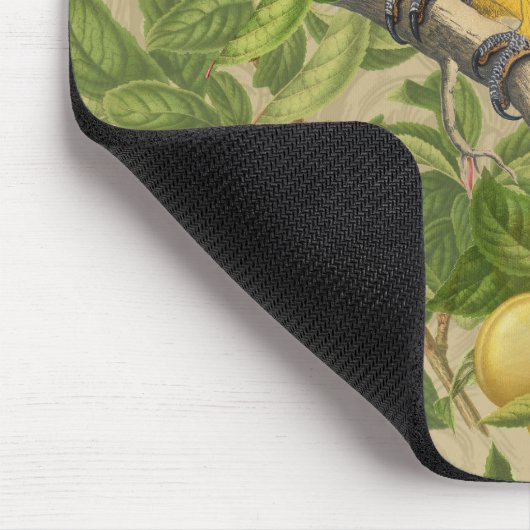 マコーブルーイエロートロピカルジャングルアンティーク マウスパッド (コーナー)