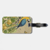 マコーブルーイエロートロピカルジャングルアンティーク ラゲッジタグ (裏面横)