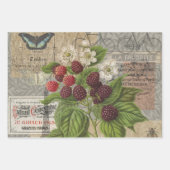 マコーブルーイエロートロピカルジャングルアンティーク ラッピングペーパーシート (正面3)