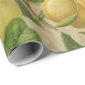 マコーブルーイエロートロピカルジャングルアンティーク ラッピングペーパー (ロールコーナー)