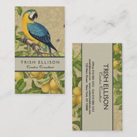 マコーブルーイエロートロピカルジャングルアンティーク 名刺 (正面/裏面)