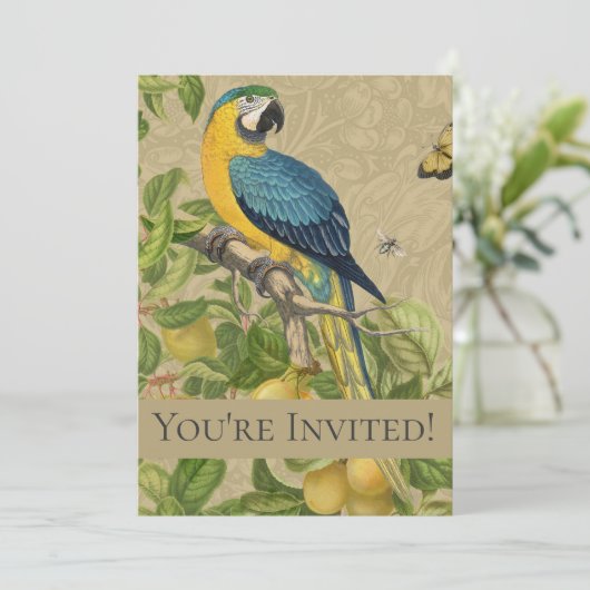 マコーブルーイエロートロピカルジャングルアンティーク 招待状 (スタンド正面)