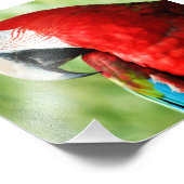 マコーポートレート フォトプリント            (角)