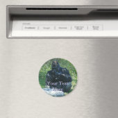 マコーマグネット マグネット (インサイチュ (食洗機))