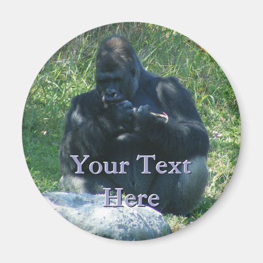 マコーマグネット マグネット (正面)