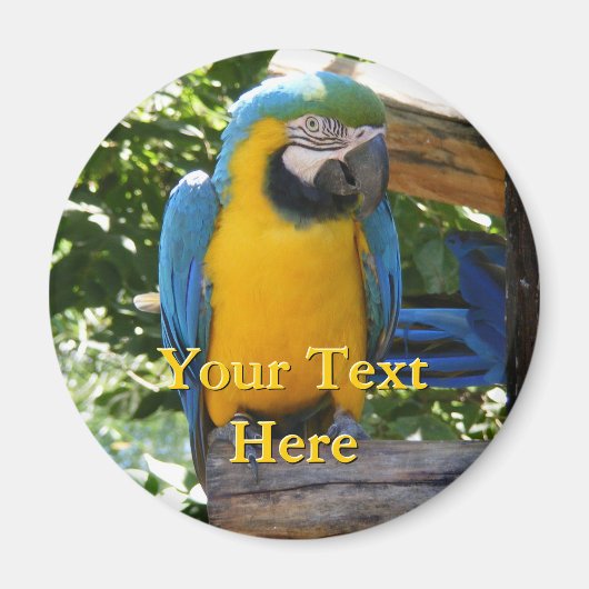 マコーマグネット マグネット (正面)