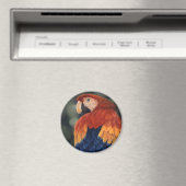 マコーマグネット マグネット (インサイチュ (食洗機))