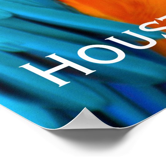 マコー威厳のあるー ポスター (角)