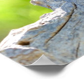 マコー座ってブランチ ポスター (角)