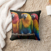 マコー クッション (ブランケット)