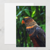 マコー シーズンカード (正面/裏面)