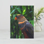 マコー シーズンカード (スタンド正面)