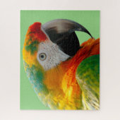 マコー ジグソーパズル (縦)