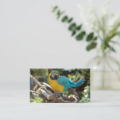 マコー·パロット 名刺 (スタンド正面)