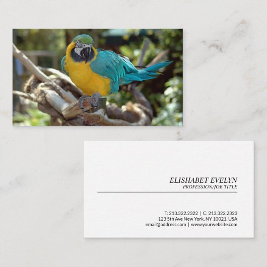 マコー·パロット 名刺 (正面/裏面)