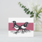 マゴパイの白黒イラストレーション ポストカード (スタンド正面)