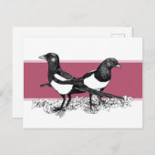 マゴパイの白黒イラストレーション ポストカード (正面/裏面)