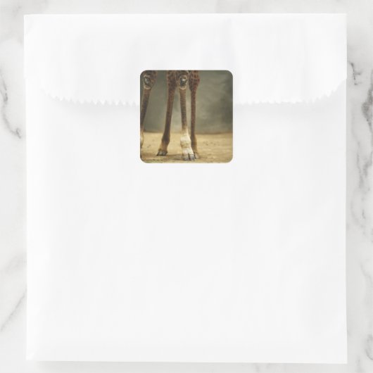 マサイキリン、脚のローアングルビュー、ギラファ スクエアシール (バッグ)