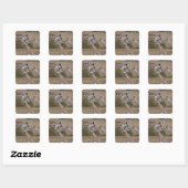 マサイギラファ(Giraffe Tippelskirchi) スクエアシール (シート)