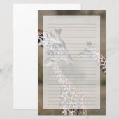 マサイギラファ(Giraffe Tippelskirchi) 便箋 (正面/裏面)