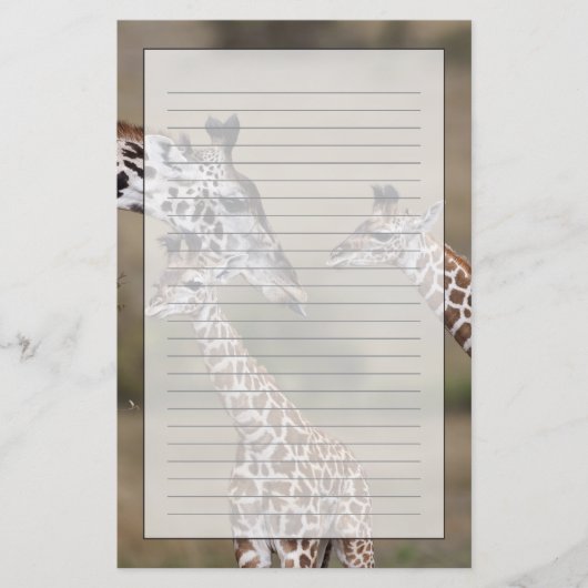 マサイギラファ(Giraffe Tippelskirchi) 便箋 (正面)