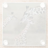 マサイギラフ (Giraffe Tippelskirchi) ガラスコースター (裏面)