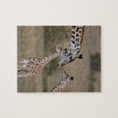 マサイギラフ (Giraffe Tippelskirchi) ジグソーパズル (横)