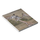 マサイギラフ (Giraffe Tippelskirchi) ノートパッド (アングル)