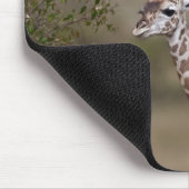 マサイギラフ (Giraffe Tippelskirchi) マウスパッド (コーナー)