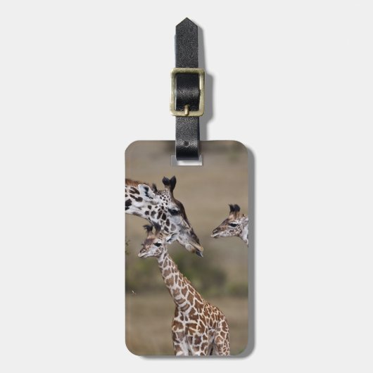マサイギラフ (Giraffe Tippelskirchi) ラゲッジタグ (正面縦)