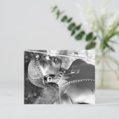 マサイポートレート ポストカード (スタンド正面)