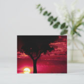 マサイマラのサンセットツリーとバランスツリーゲームレザー ポストカード (スタンド正面)