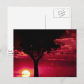 マサイマラのサンセットツリーとバランスツリーゲームレザー ポストカード (正面/裏面)