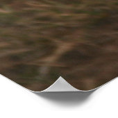 マサイマラのライオンの子 ポスター (角)